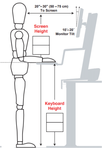 medidas antropométricas para trabalhar em pé em mesa para home office